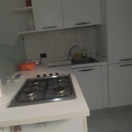 Zampino 49 *