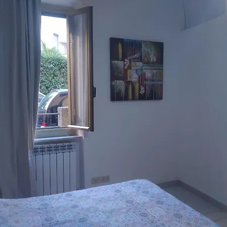 Zampino 49 *
